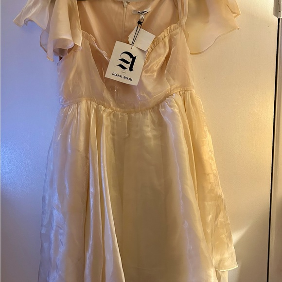 (READ) PRICE DROP🎉🎉🎉🎉Selkie for Maison Armory Sugarmilk Dress (XL) - Picture 8 of 15